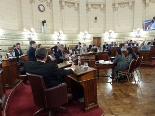 El Senado, por impulso de Felipe Michlig, avanzó con una prórroga por 12 años del “Fondo de Electrificación Rural (FER)”