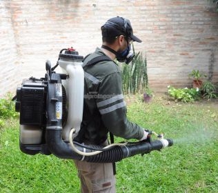 Dengue: Salud del Municipio detecta descenso de casos y solicita continuar con las medidas preventivas