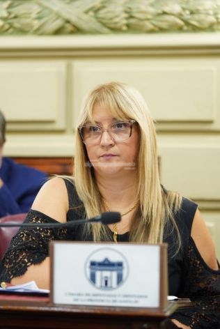 Traferri insiste en el Senado Santafesino con la “incorporación de energía solar en viviendas y edificios” – El Protagonista Web