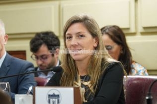 Armas Belavi: Impulsamos incorporar los derechos de las personas con discapacidad en la Constitución santafesina