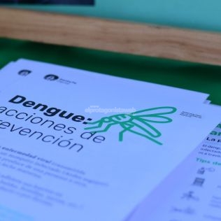 Dengue: son ocho los barrios donde se encontró la presencia del vector transmisor