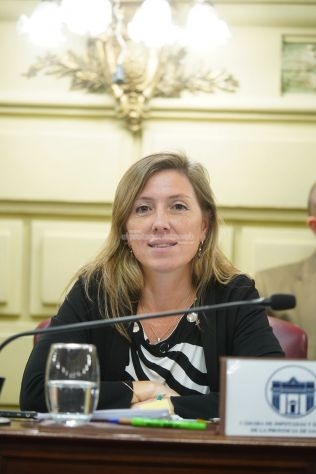 identidad-santafesina-diputados-aprobo-la-ley-que-declara-al-liso-patrimonio-cultural