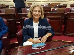 Preocupación en la Legislatura por el aumento de casos de tos convulsa en Rosario y la provincia