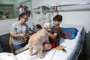 Con Cala y Zafira, comenzó la prueba piloto de ingreso de animales de compañía en el Hospital Vilela