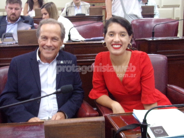 28 de Noviembre: “Día Provincial del Acompañante Terapéutico”, con fuerza de Ley y sanción definitiva