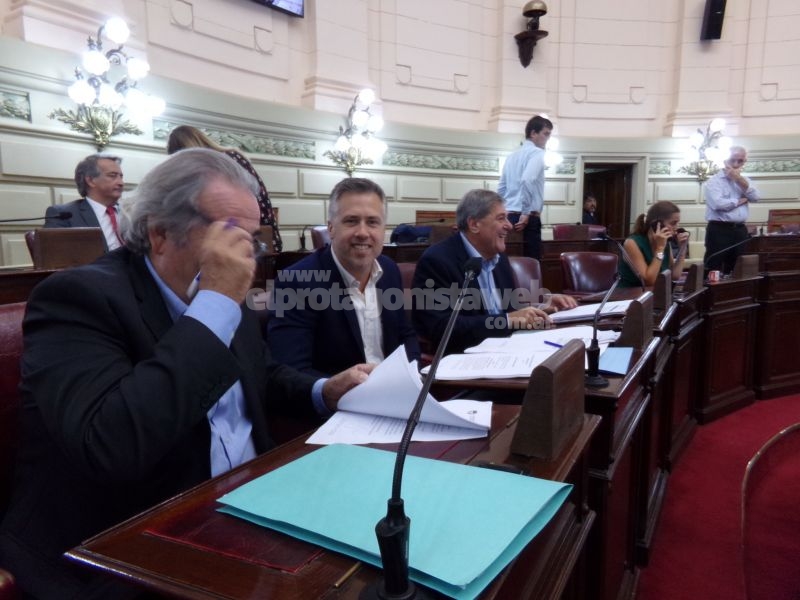 Leandro Busatto propone la creación del Programa de Sanidad y Equilibrio Poblacional de Perros y Gatos