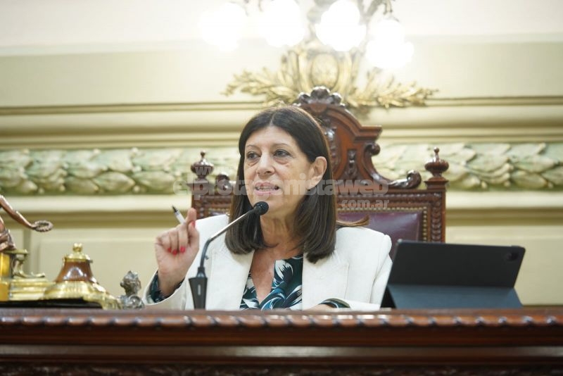 “Diputados y Diputadas”, al igual que el Senado, expresó su preocupación por el DNU 70/23 del Presidente Javier Milei porque “constituye un gran avasallamiento a la división de poderes”