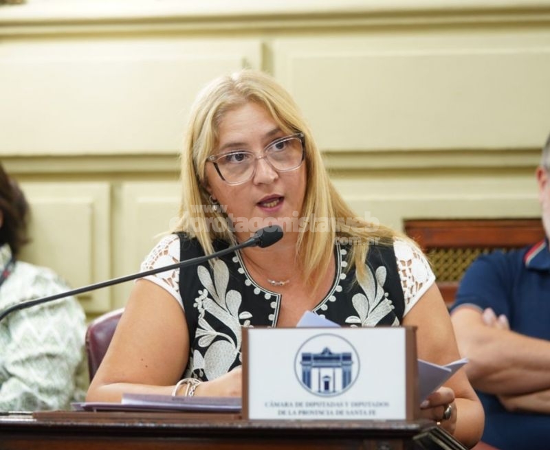 En Santa Fe ya se discute la adhesión al Decreto de los cambios en la VTV y las licencias de conducir