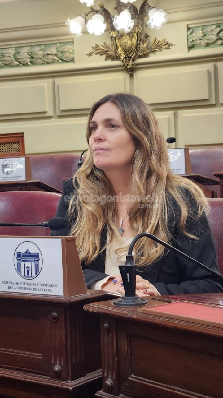 Di Stefano: ''Es hora de modernizar nuestra Constitución para garantizar mayor transparencia''