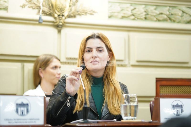 Lionella Cattalini plantea modificaciones a la “Ley de Ética en el Ejercicio de la Función Pública”